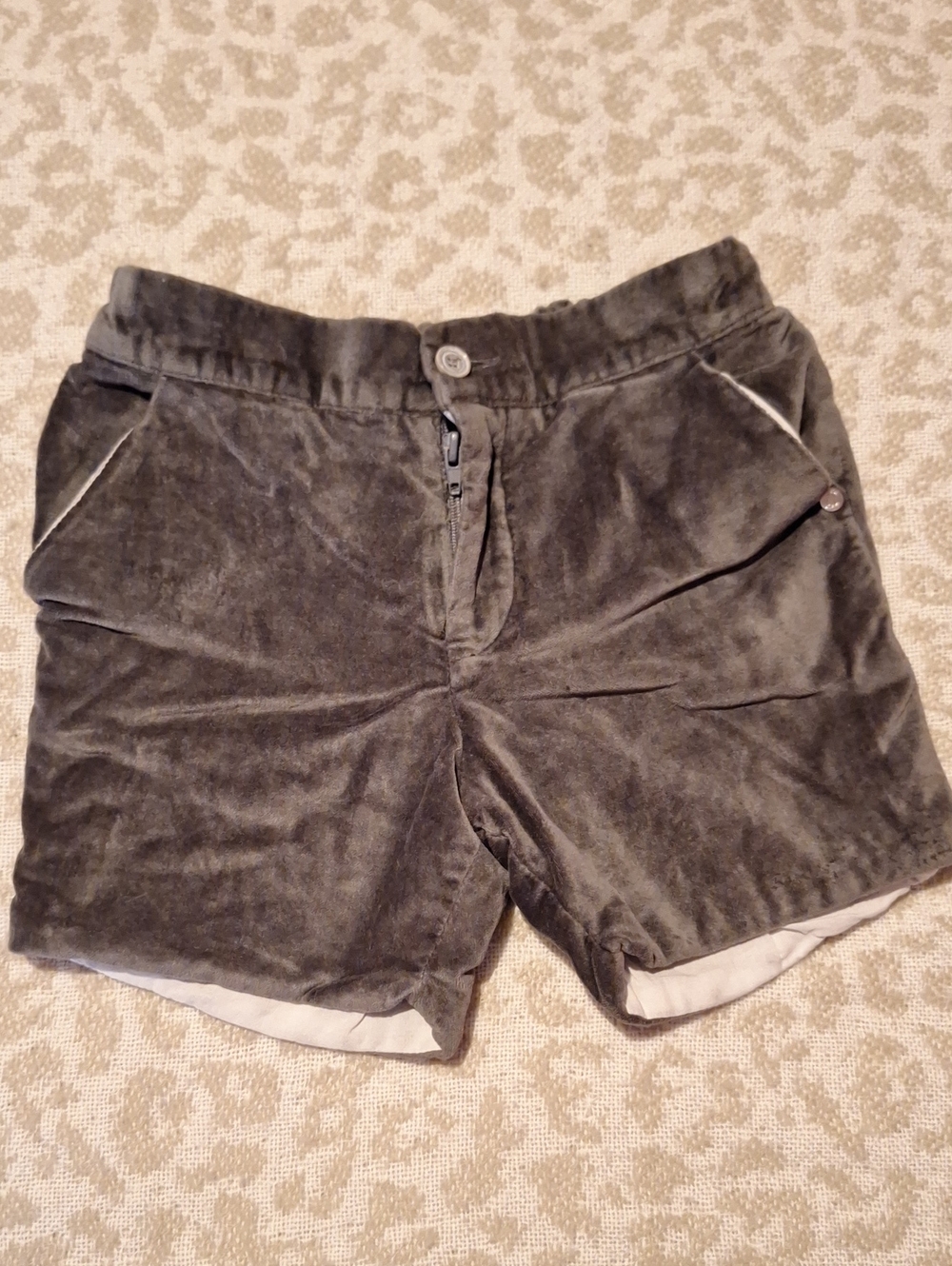 Kids Velvet Casual Shorts in Dark Gray